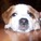 Brian Moore