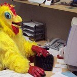 El Pollo Loco