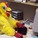 El Pollo Loco