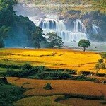 Huong Cung