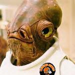 Admiral TheBrownsRule