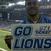Me_lions_crop_51x51