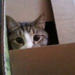 Chuck Box