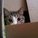 Chuck Box