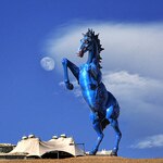 The DenverSportsNut