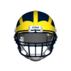 TruBluMich