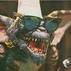 Bleacher Creature
