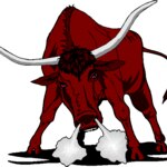 Bama Toro