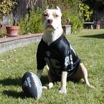 D Man