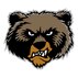 Bleacher Report
