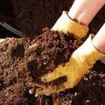 Best OrganicFertilizers