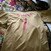 Dscn0930_crop_51x51