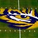 Geaux Tigers