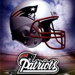 PatsFan4Life Superbowl Champs