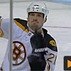 Bruins Fan