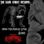 XPLICIT PITS