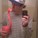 Ryan Harty