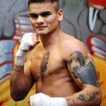 Boxing Fan Always