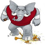 SCBAMA