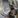 Anthony Fusco