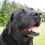 Dscn4811_crop_45x45