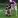 Jack Godfrey