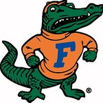 FSL4LFE