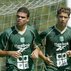david regateiro