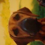 REMINGTON