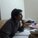 Archit Gautam