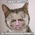 Georges St. Purrrrrrrrrrr