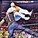 In my opinion The Rock is the greatest superstar of all time
