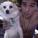 Conor Lee