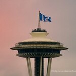 12th  Man