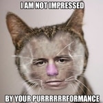 Georges St. Purrrrrrrrrrr