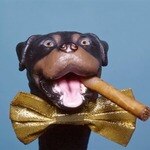 Triumph The Insult Comic Dog
