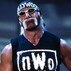 Hulk Hogan