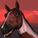 Big Horse