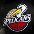 PelicanFan India