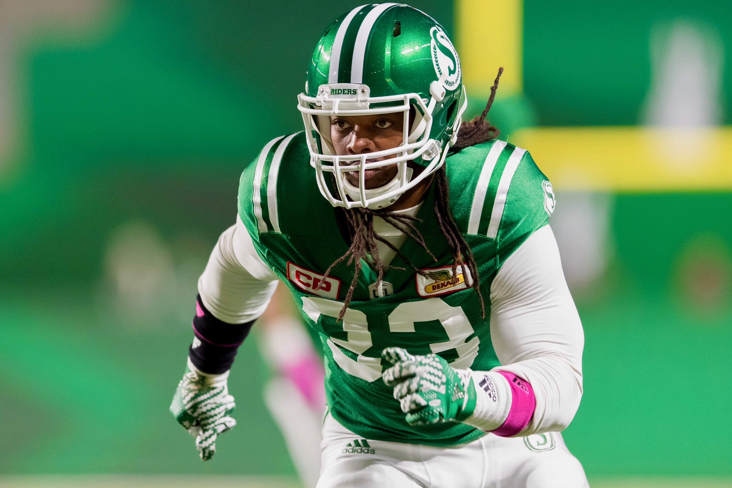 2,669 Green Bay Packers V Tennessee Titans Photos & High Res Pictures -  Getty Images