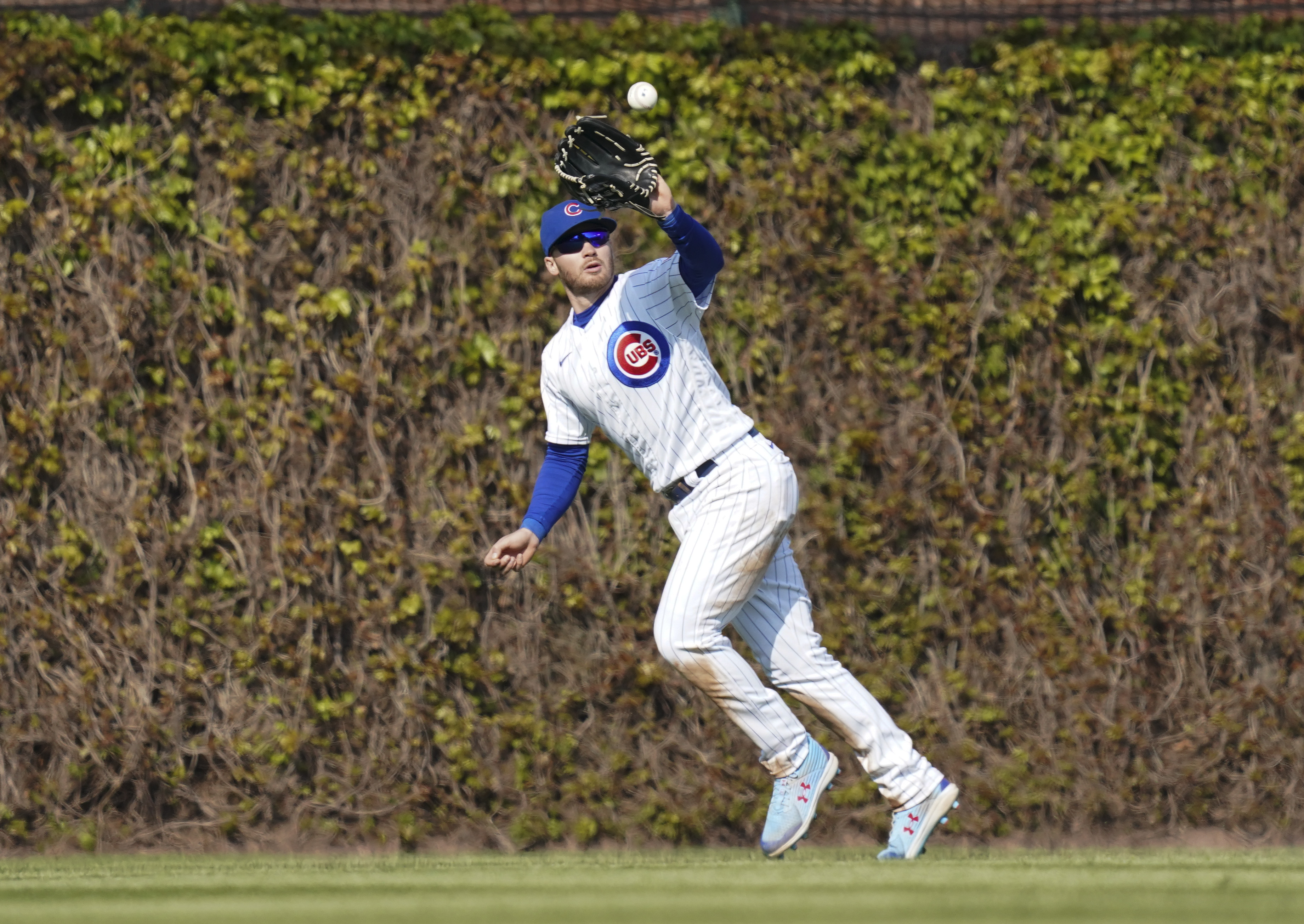 Nico Hoerner Exits Game After Collision with Umpire (Updates) - Cubs Insider