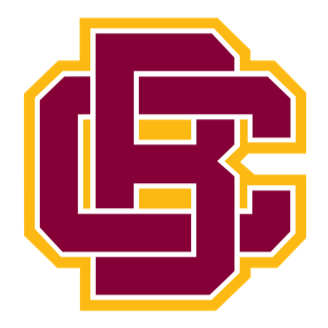 Bethune-Cookman Basketball logo