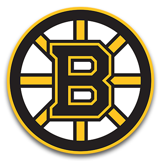 Boston Bruins Special Event Logo - National Hockey League (NHL