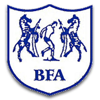 Botswana (National Football) logo