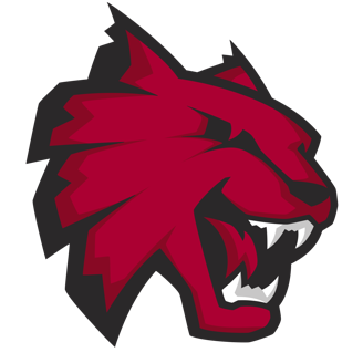 Central Washington Basketball logo