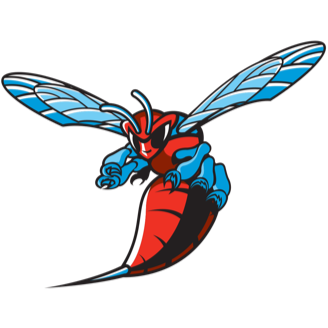 Delaware State Basketball logo