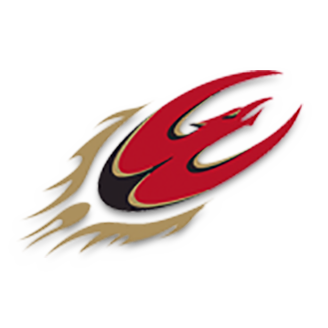 elon football logos phoenix