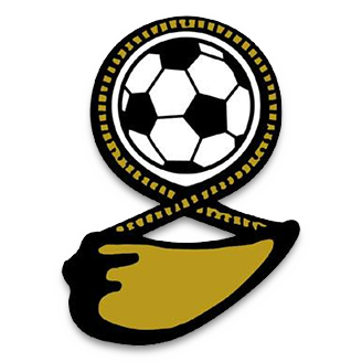 Fiji (National Football) logo