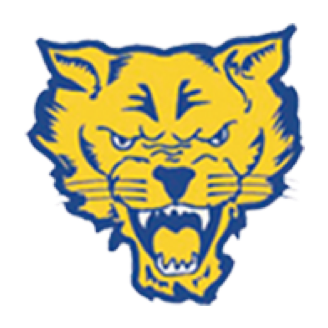 Fort Valley State Basketball logo