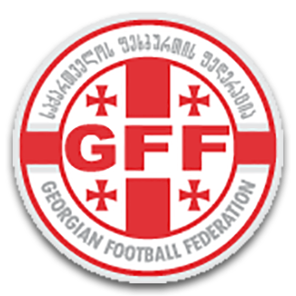 Georgia (National Football) logo